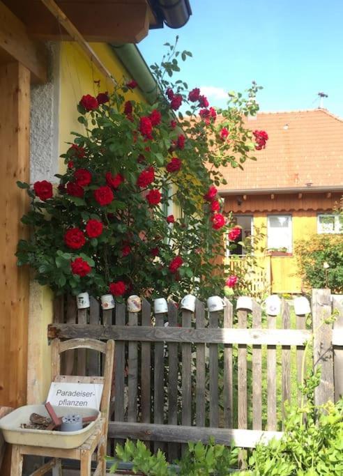Ferienhaus Mit Garten In Thermennaehe Strebersdorf エクステリア 写真