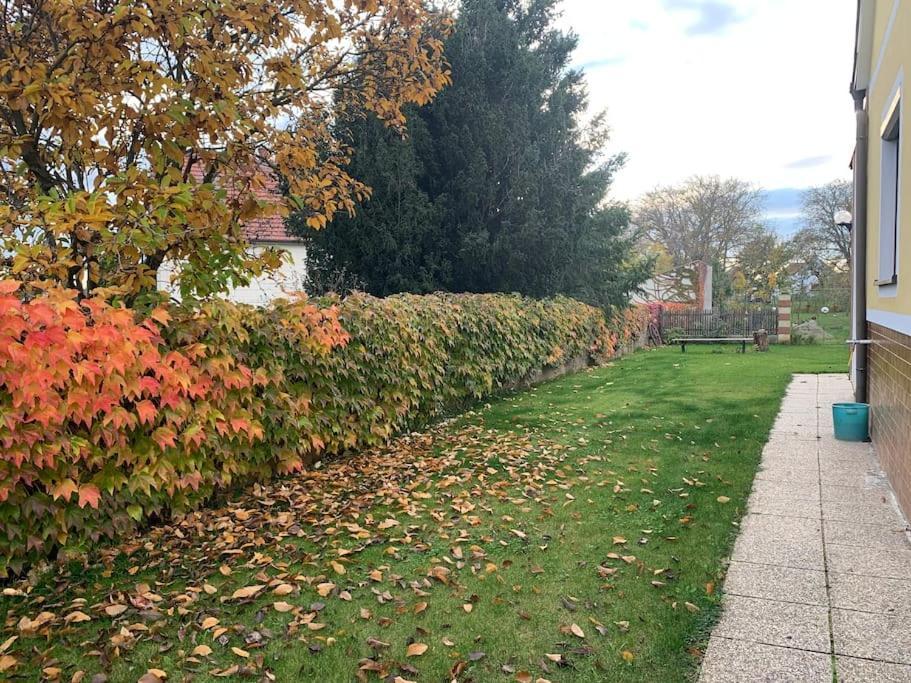 Ferienhaus Mit Garten In Thermennaehe Strebersdorf エクステリア 写真